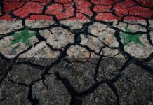 Avi Melameds article | Through Post-Earthquake Aid, Is Saudi Arabia Signaling Interest in Syrian Rapprochement? | ITME HUB Exclusive