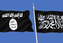SUNNI ISLAMIC FUNDAMENTALISMS & MILITANT ISLAM Sunni Islamic Fundamentalisms & Militant Islam | Share the same ultimate vision of political Islam | Inside The Middle East | Avi Melamed