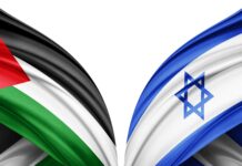 PALESTINIAN Insights By Avi Melamed PALESTINIAN Insights By Avi Melamed