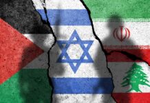 Could Israel-Hezbollah ceasefire in Lebanon bring lasting peace? | Avi Melamed quoted Dwight Widaman, in the article For Metro Voice. November 26, 2024