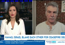 Hamas / Israel blame each other for ceasefire delay | CTV CANADA invited Geopolitical Analyst and Middle East expert Avi Melamed | 2024 12 25